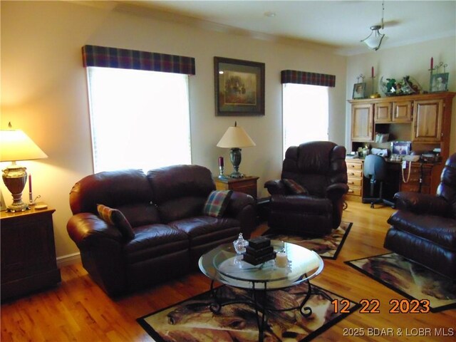 1932 Mimosa Ct, Lebanon, MO 65536 - living area featuring light wood-type flooring and ornamental molding