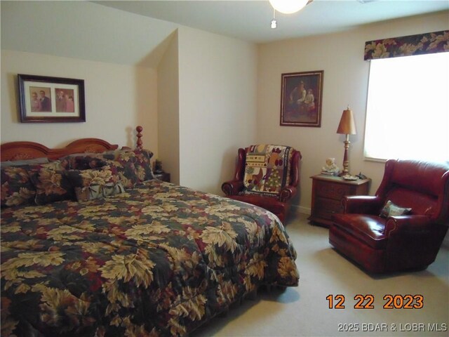1932 Mimosa Ct, Lebanon, MO 65536 - bedroom featuring carpet flooring
