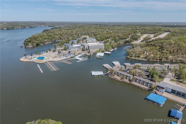 6570 Pelican Dr Unit 404, Osage Beach, MO 65065 - bird's eye view of a large body of water and a forest