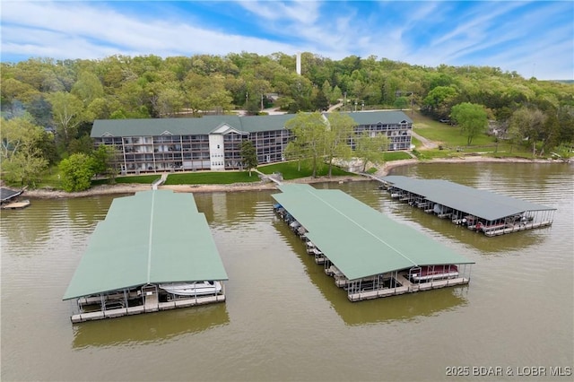 dock area with a water view