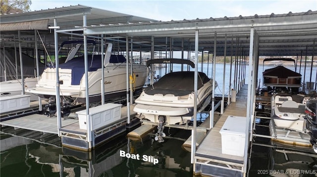 dock area featuring boat lift