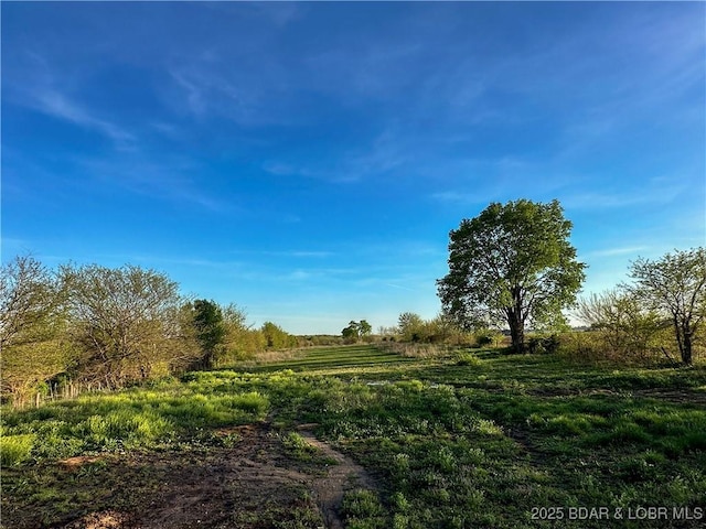 69985 US Highway 50, Tipton, MO 65081 - view of undeveloped land