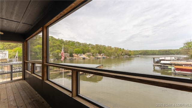 dock area with a water view