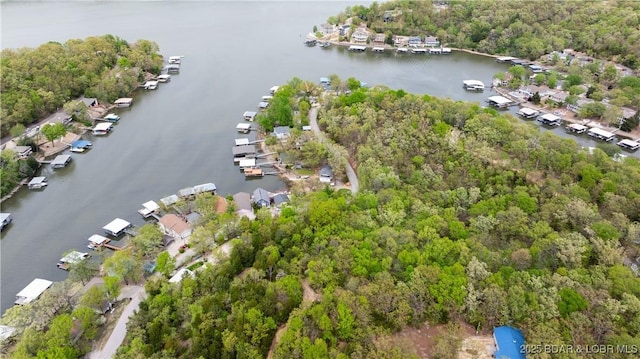 birds eye view of property featuring a residential view, a water view, and a view of trees
