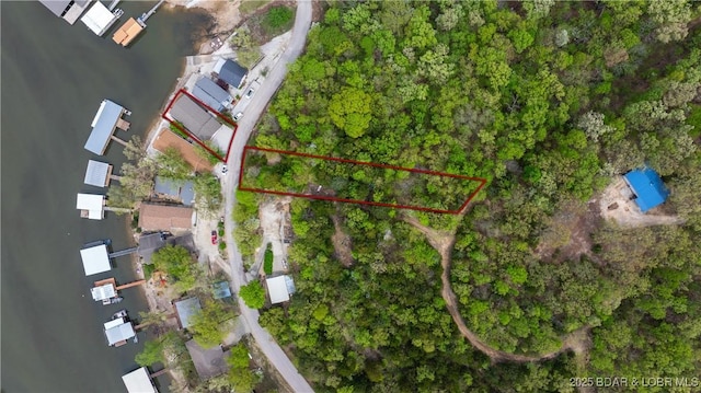 drone / aerial view