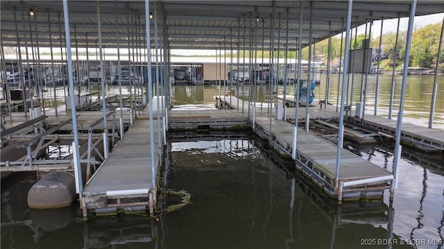 dock area with boat lift