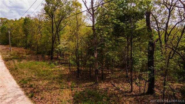 489 Chalk Hollow Pt, Sunrise Beach, MO 65079