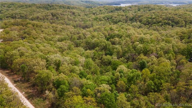 489 Chalk Hollow Pt, Sunrise Beach, MO 65079