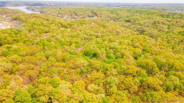 489 Chalk Hollow Pt, Sunrise Beach, MO 65079