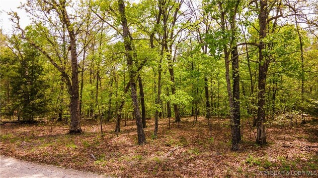 489 Chalk Hollow Pt, Sunrise Beach, MO 65079