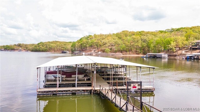 489 Chalk Hollow Pt, Sunrise Beach, MO 65079