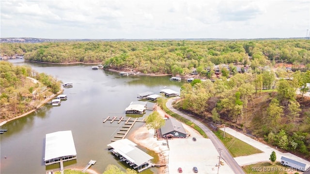 489 Chalk Hollow Pt, Sunrise Beach, MO 65079