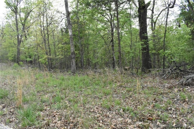489 Chalk Hollow Pt, Sunrise Beach, MO 65079
