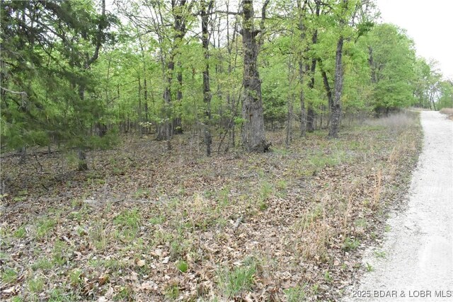 489 Chalk Hollow Pt, Sunrise Beach, MO 65079