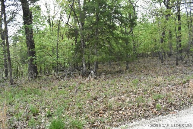 489 Chalk Hollow Pt, Sunrise Beach, MO 65079
