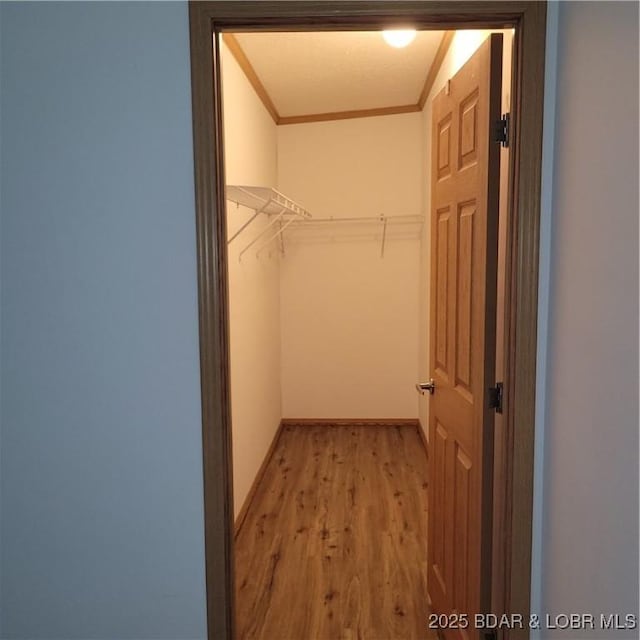 walk in closet featuring light wood-type flooring