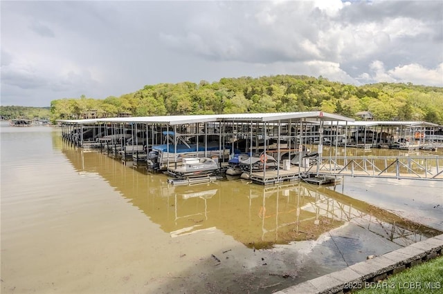 dock area with a water view and a wooded view