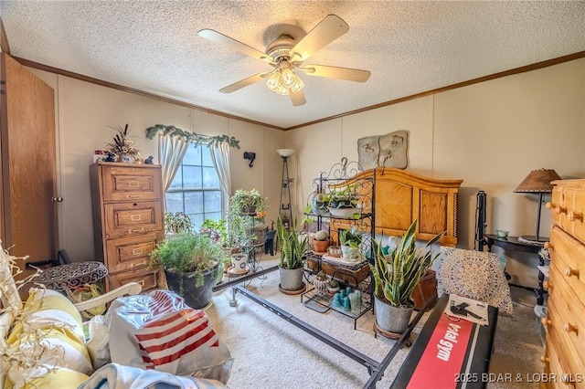 122 Simpson Rd, Urbana, MO 65767 - carpeted living area with a textured ceiling, ornamental molding, and ceiling fan