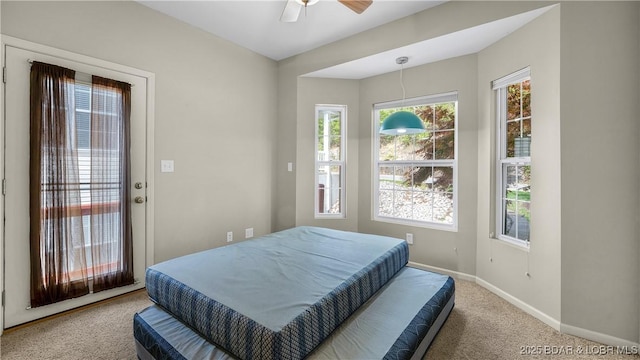 bedroom with baseboards, carpet, ceiling fan, and multiple windows