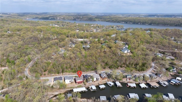 aerial view featuring a water view and a view of trees