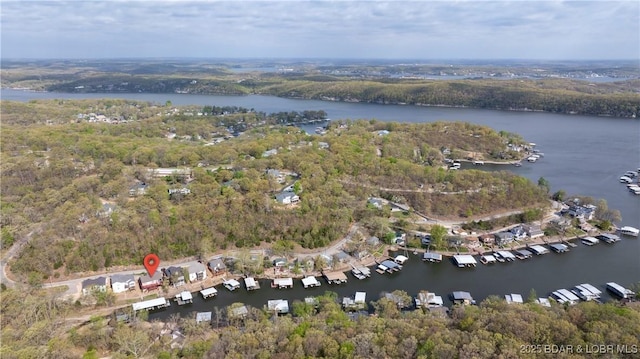 aerial view with a water view and a view of trees
