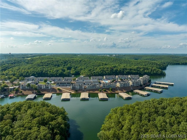 611 Lazy Days Rd Unit R-5, Osage Beach, MO 65065 - aerial view with a water view and a forest view