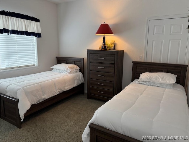 611 Lazy Days Rd Unit R-5, Osage Beach, MO 65065 - bedroom with carpet floors