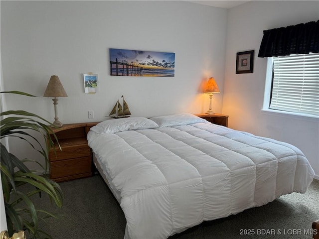 611 Lazy Days Rd Unit R-5, Osage Beach, MO 65065 - view of carpeted bedroom