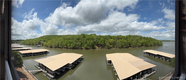 611 Lazy Days Rd Unit R-5, Osage Beach, MO 65065 - view of dock with a water view