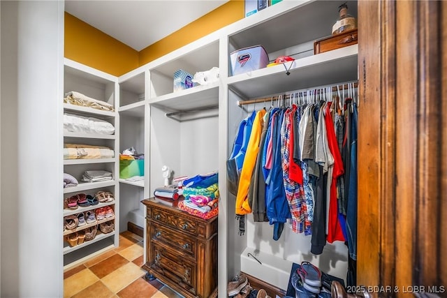 32 Wild Pines Ct, Sunrise Beach, MO 65079 - view of spacious closet
