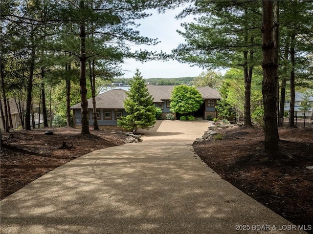 32 Wild Pines Ct, Sunrise Beach, MO 65079 - view of front facade with concrete driveway and stone siding