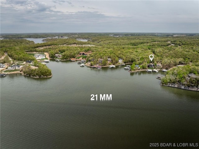32 Wild Pines Ct, Sunrise Beach, MO 65079 - aerial view of a heavily wooded area and a large body of water