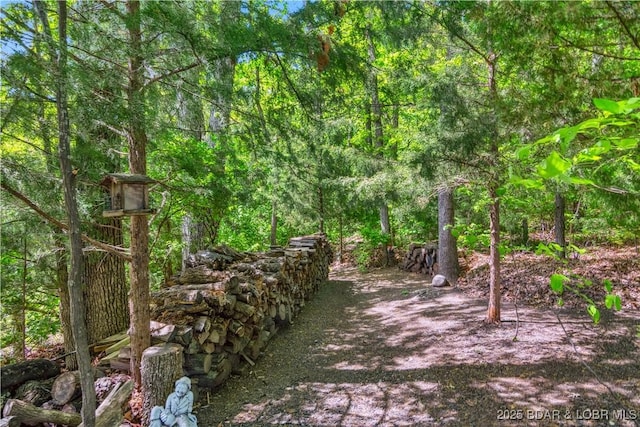 view of yard with a wooded view