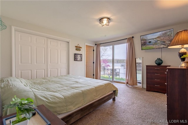 bedroom with carpet floors and a closet