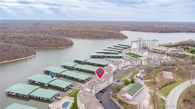 bird's eye view with a view of trees and a water view