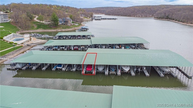 bird's eye view featuring a water view and a forest view