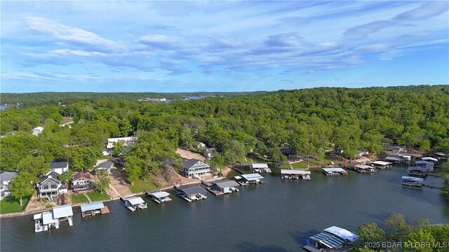 33555 Evergreen Rd, Sunrise Beach, MO 65079 - photo 50