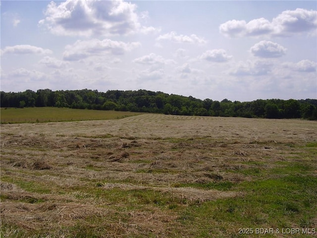 3521 S 240th Rd, Mo, MO 65685 - view of landscape featuring a rural view and a forest view
