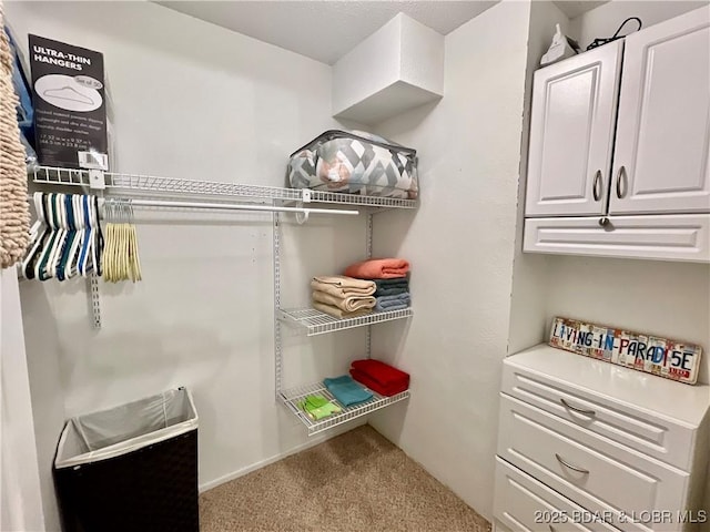 405 Barba Le Ln Unit 3B, Lake Ozark, MO 65049 - walk in closet featuring carpet flooring