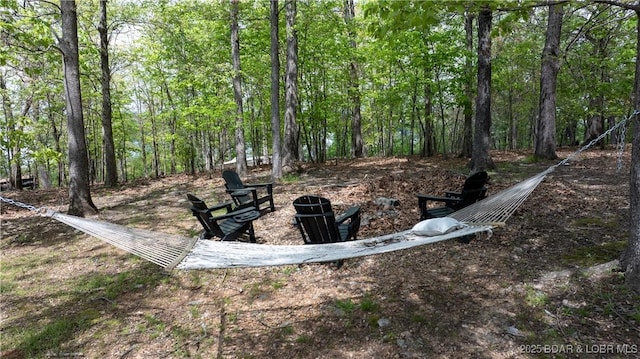 298 Storm Cove Dr, Linn Creek, MO 65052 - view of yard with a view of trees