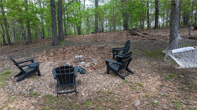 298 Storm Cove Dr, Linn Creek, MO 65052 - view of yard