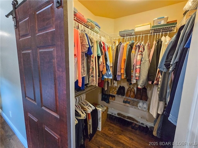 212 Weiskopf Way, Camdenton, MO 65020 - walk in closet featuring wood finished floors
