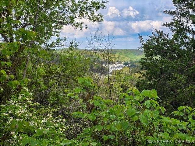 view of nature featuring a wooded view