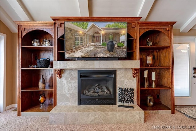 106 Bayliner Dr, Sunrise Beach, MO 65079 - interior details with carpet floors and a tiled fireplace