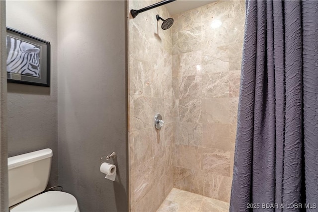 106 Bayliner Dr, Sunrise Beach, MO 65079 - bathroom with toilet and tiled shower