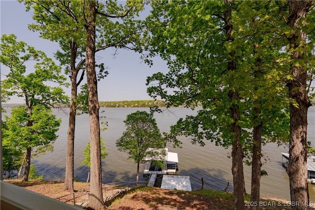 106 Bayliner Dr, Sunrise Beach, MO 65079 - water view featuring a dock