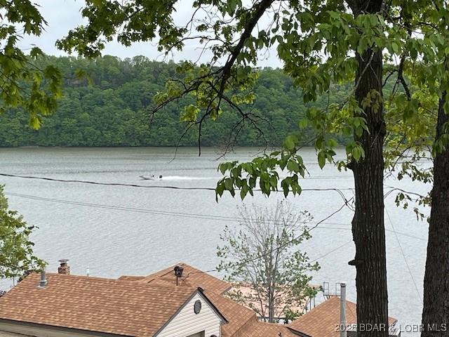 property view of water with a forest view