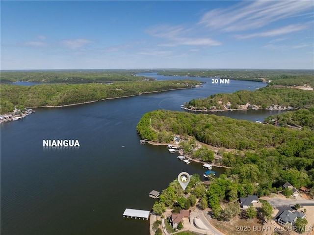 drone / aerial view featuring a view of trees and a water view