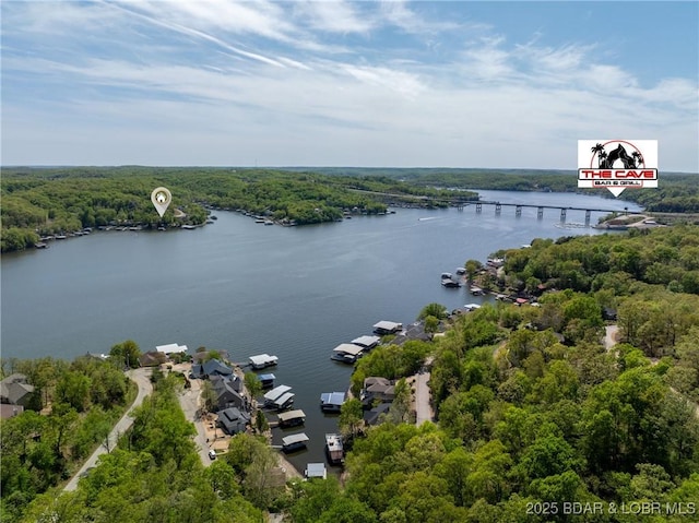 bird's eye view with a water view and a wooded view