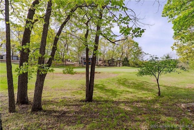 294 Moongate Dr, Osage Beach, MO 65065 - view of yard